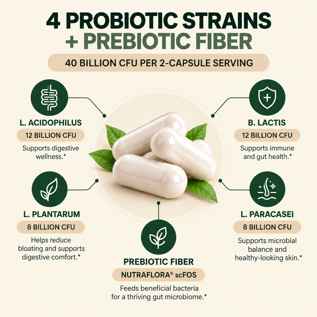 Internal Complex strain breakdown: Lactobacillus Acidophilus 12 billion CFU, Bifidobacterium Lactis 12 billion CFU, Lactobacillus Plantarum 8 billion CFU, Lactobacillus Paracasei 8 billion CFU, and NutraFlora scFOS prebiotic fiber